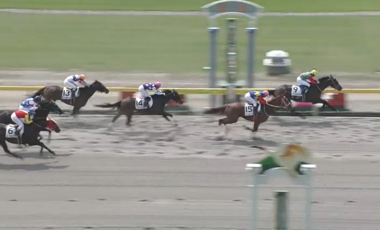 �m�[�g���X�E�F���@3�Ζ������@2���@5/21�@�V��