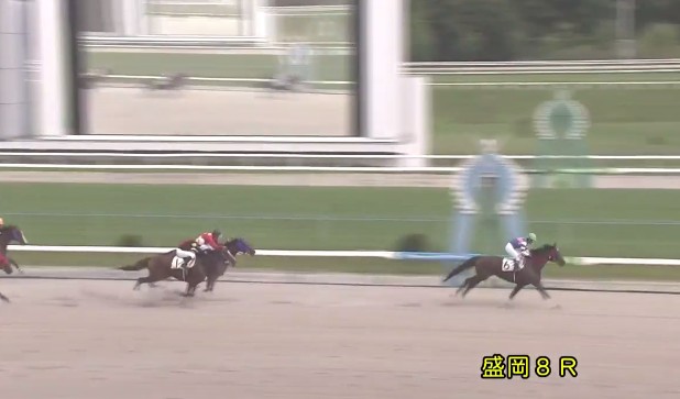 �e�C�N�G�C���� �b�Q��g�@ �D�� 8/1�@����