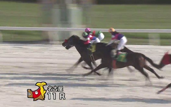 �~�X�G���L���O���@�b�P �@�D���@9/2�@���É�