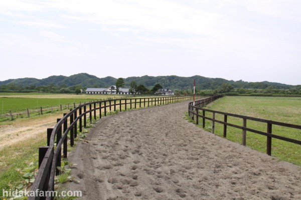 �y�Z�����\��n�z����3���@�f�ڂ������܂����B