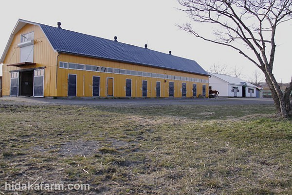 �Z�����n�i�Ђ������Z�[�� �j�@�ߋ�UP